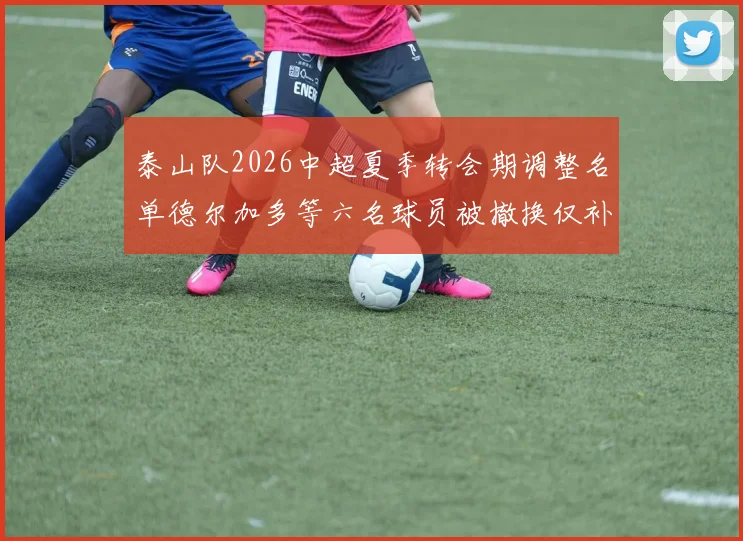 泰山队2026中超夏季转会期调整名单德尔加多等六名球员被撤换仅补报郝富博